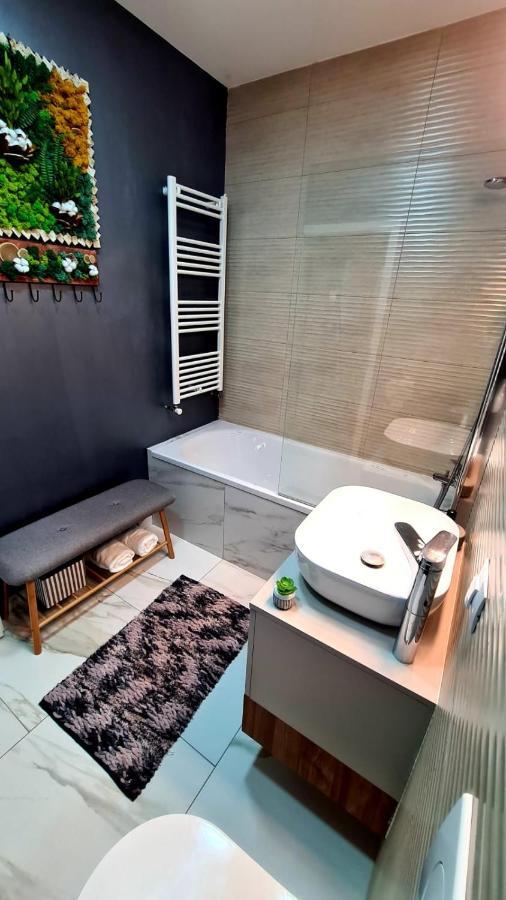 Cozy Studio Apartment บราชอฟ ภายนอก รูปภาพ